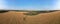 Plateau de Valensole lavender field and Wheat field and almond tree at sunset in Haute Alpes Provence Cote d'Azur