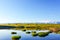 Plateau Grassland with Sunny Blue sky and snow mountains.