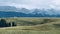 Plateau grassland in the western section of Tianshan Mountain