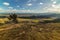 The plateau of the Hohe Wand in Austria