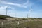 Plateau Paul da Serra, high plain with wind turbines on Madeira island in the middle of the island, Portugal, Europe