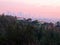 Plateau Residential Homes with a view of Los Angeles towers and city - taken from Griffith Park