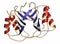Platelet factor 4 (PF-4) chemokine protein