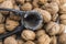 Plates of natural walnuts and walnut crumbs A plate of dry walnuts, the most wonderful walnut pictures