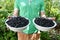 Plates of ripe blackberries in gardener hands. Healthy food.