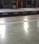 In Platform pigeons moveing here & there
