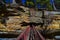 Platform and tunnel Pine river branch along the  half mile long, pine topped sandstone rock at pier park