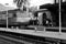 A platform waiting passengers as a local train service approaches at Vernazza railway station Liguria, Italy.