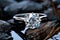 Platinium Diamond wedding ring isolated