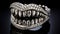 platinum and diamond set of teeth grillz