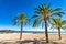 Platja d`Alcudia on Majorca beach with palm trees, Spain Mediterranean Sea.