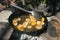 Platones fried bananas local cooking of Dominican