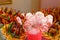 Platter of cake pops, closeup. Candy bar and catering concept for birthday, wedding and other holiday celebration