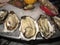 Platter of oysters and shellfish on ice