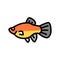 platy fish color icon vector illustration