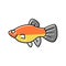 platy fish color icon vector illustration