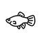 platy fish line icon vector illustration