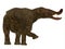 Platybelodon Mammal Tail