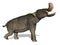 Platybelodon: Prehistoric Elephant