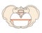 Platypoid or Platypelloid Pelvis Shape w Round or Circular shape