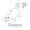 Platypus Alphabet ABC Coloring Page P