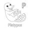 Platypus Alphabet ABC Coloring Page P