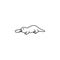 Platypus icon. Unique animal Icon. Premium quality graphic design. Signs, symbols collection, simple icon for websites, web design