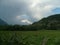 Plav Montenegro landscape in summer green fertile field