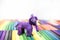 Play clay Animals. Elephant on colored background