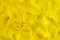 Play clay yellow background texture