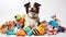 play dog toys white background