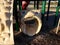 Play structure tunnel with face, mouth, and eyes