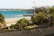 Playa de las Cucharas beach with vegetation in black volcanic ground, Costa Teguise, Lanzarote