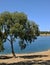 Playa de Orellana, embalse near Badajoz - Spain