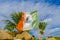 Playa del Carmen, Mexico - January 10, 2018: Outdoor view of a Mexican flag waving in Caribbean beach at Playa Del