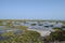 Playa del Matorral, Marshland in Morro Jable, Fuerteventura