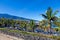 Playa Jardin and Teide Peak in Puerto de la Cruz, Tenerife