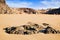 Playa Mujeres beach in Lanzarote, Canary Islands, Spain