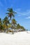 Playa Spratt Bight beach travel with palms portrait format vacation sea on island San Andres in Colombia