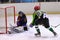 Players in action in the Ice Hockey final of the Copa del Rey (Spanish Cup)