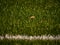 Playfield border. Closeup view to white lines on football playground. Detail of a of white lines