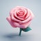 Playful 3d Pink Rose Illustration With Symbolic Props