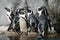 Playful African Penguins at a Public Zoo