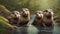 playful antics of a family of otters frolicking in a clear, babbling brook.