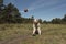 Playful Australian shepherd catching a ball on a sunny day outdoors