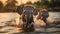 Playful Baby Elephants Splashing in Serene River