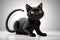 Playful Black Cat in Animated Pose. Created with Generative AI