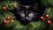 Playful black cat peeks out from behind a lush Christmas tree. Xmas related scene - Generative AI