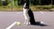 Playful black and white border collie with a ball