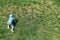 Playful boy goes up steep hill covered with lush grass